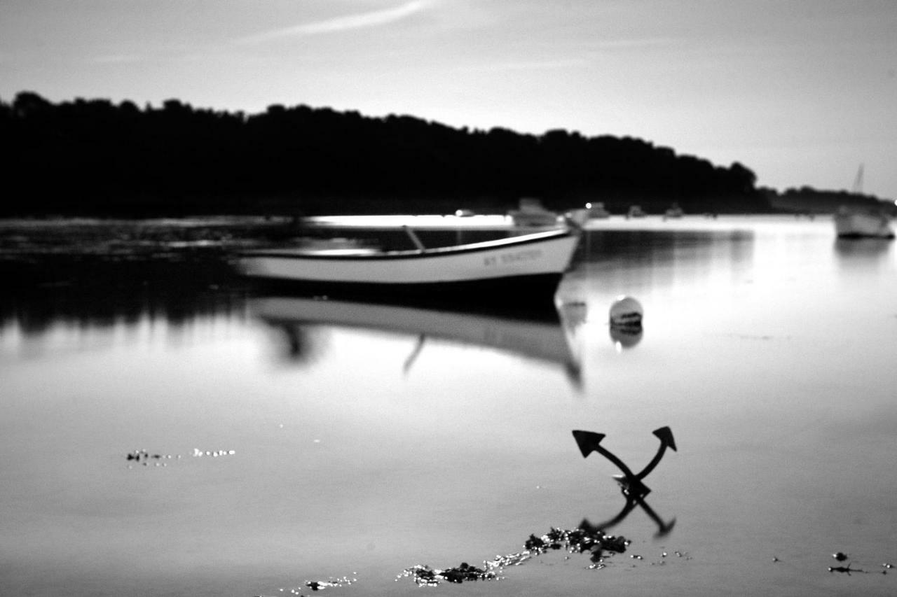 Vvf Residence Golfe Du Morbihan ラルモール・バダン エクステリア 写真